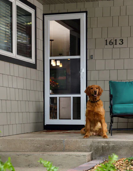 Larson storm door with doggie door best sale